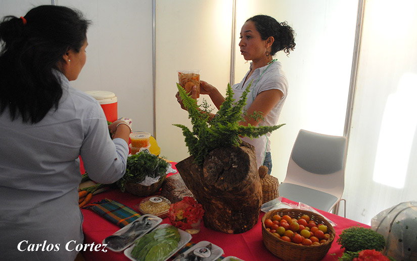 emprende